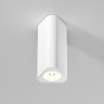 Потолочный светильник Elektrostandard 25110/LED a067063