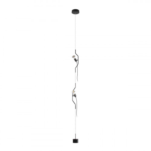 Подвесной светильник Loft IT Parentesi 10346/2 Black