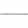 Светодиодная влагозащищенная лента Feron 11W/m 120LED/m 5730SMD дневной белый 50M LS705 48140