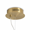 Подвесной светодиодный светильник Freya Grail FR6183PL-L4BS