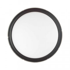 Настенно-потолочный светодиодный светильник Sonex Pale Shiny 3049/EL