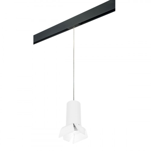 Комплект с трековым светильником Lightstar Rullo (216486+595887+202486) PRORP6486486