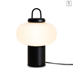 Настольная лампа Freya Take FR6175TL-L10B