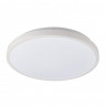 Потолочный светодиодный светильник Nowodvorski Agnes Round Led 8207