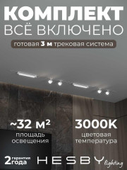 Встраиваемая однофазная трековая система Hesby Lighting Skylite №14 со светильниками HSBL_kompl_S014_VI3W3K