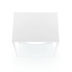 Накладной потолочный светильник Ritter Arton 51401 5