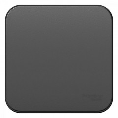 Выключатель одноклавишный Systeme Electric Blanca 10A 250V антрацит BLNVA101016