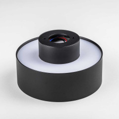 Светильник накладной Lightstar Acuto 215937