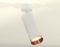 Комплект накладного светильника Ambrella light Techno Spot XM6342006 SWH/PPG белый песок/золото розовое полированное (A2202, C6342, N6135)