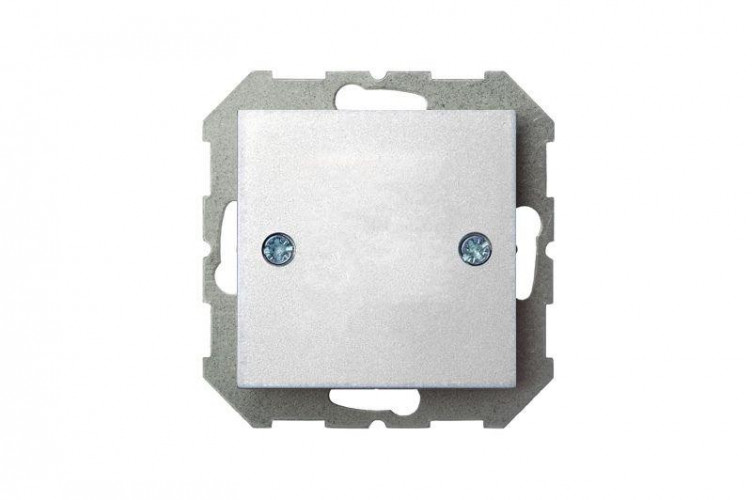 Заглушка Liregus Epsilon серебро 28-1852