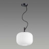 Подвесной светильник Odeon Light Pendant Roofi 4753/1