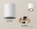 Комплект накладного светильника Ambrella light Techno Spot XS7421004 SWH/PPG белый песок/золото розовое полированное (C7421, N7005)
