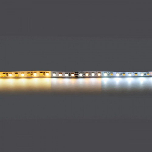 Светодиодная лента Lightstar 20W/m 168LED/m белый 5M 420820