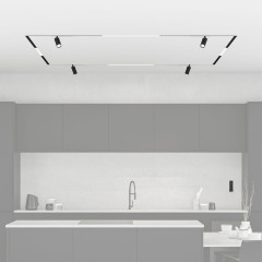 Комплект трековой системы Denkirs SET SMART ZigBee 03