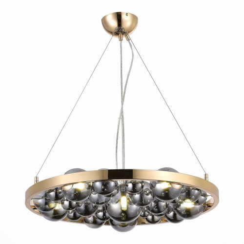 Подвесная люстра ST Luce Olmi SL1510.203.06
