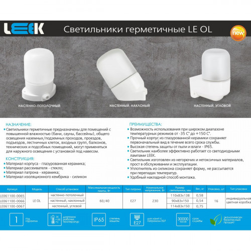 Настенно-потолочный светильник LEEK LE061100-0065