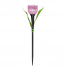 Светильник на солнечных батареях Uniel Promo USL-C-451/PT305 Pink Tulip UL-00004276