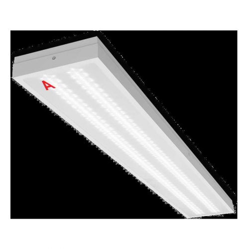 Потолочный светильник WOLTA Pro ДПО03-36-142-6К