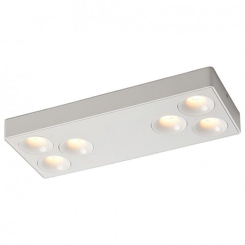 Потолочный светодиодный светильник Wertmark Bellatrix WTB.O01.007.30.36