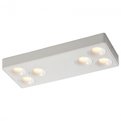 Потолочный светодиодный светильник Wertmark Bellatrix WTB.O01.007.30.36