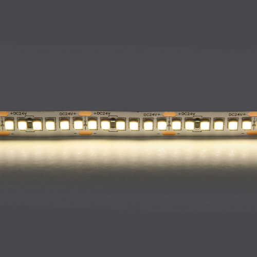 Светодиодная лента Lightstar 24W/m 240LED/m дневной белый 5M 421024