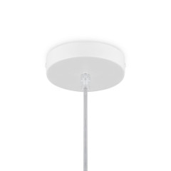 Подвесной светильник Freya Cottage FR5405PL-01W