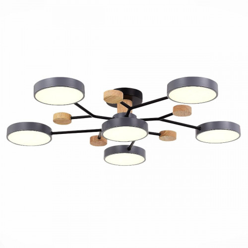 Потолочная светодиодная люстра Evoluce FAEMA SLE6006-702-06