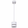 Подвесной светильник Reluce Technical 53017-0.9-001MN GX53 WT