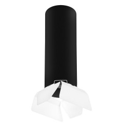 Комплект с потолочным светильником Lightstar Rullo (216497+202486) R6497486