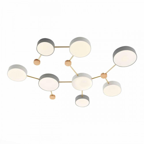 Потолочный светильник Evoluce DOSSENA SLE600102-08