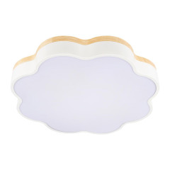 Потолочный светодиодный светильник Loft IT Axel 10225/36 White