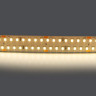 Светодиодная лента Lightstar 30W/m 280LED/m дневной белый 5M 422004