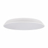 Потолочный светодиодный светильник Loft IT Brim 10226 White