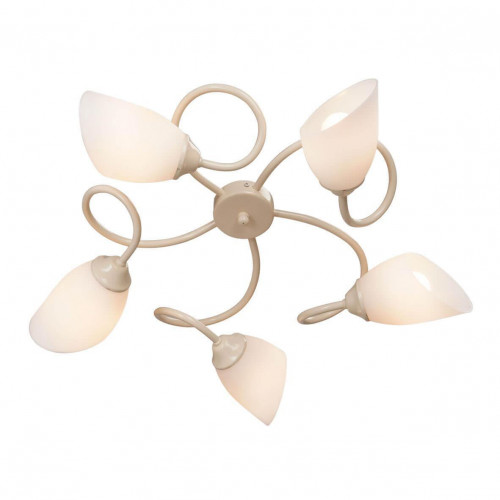 Потолочная люстра Vitaluce V3189/5PL