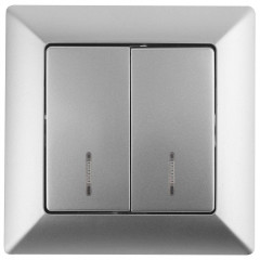 Выключатель двухклавишный ЭРА Intro Solo 10A 250V с подсветкой серебро 4-105-03 Б0043293