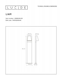Уличный светильник Lucide Liam 29898/80/29