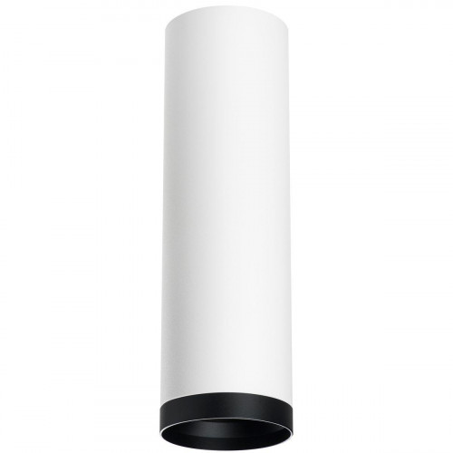 Комплект с потолочным светильником Lightstar Rullo (216496+203487) R64963487