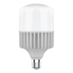 Лампа светодиодная Gauss E40 80W 6500K матовая 63438