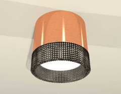 Комплект накладного светильника Ambrella light Techno Spot XS (C8122, N8484) XS8122021