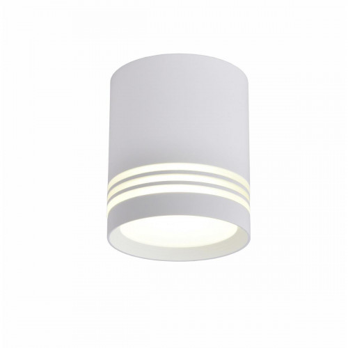 Накладной светодиодный светильник Gerhort G84004/5W 4K WT S