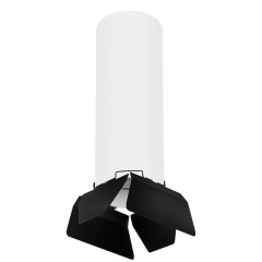 Комплект с потолочным светильником Lightstar Rullo (216496+202487) R6496487