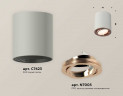 Комплект накладного светильника Ambrella light Techno Spot XS7423023 SGR/PPG серый песок/золото розовое полированное (C7423, N7005)