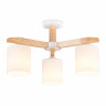 Потолочная люстра Ambrella light Traditional Loft TR83112