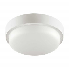 Накладной светодиодный светильник WOLTA LCL04-8W-R11-4K-SOA