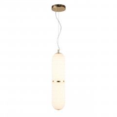 Подвесной светодиодный светильник Aployt Ozeynn APL.332.06.22