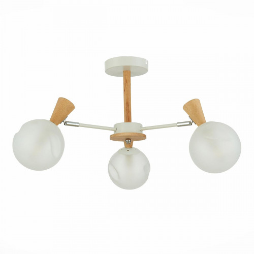 Потолочная люстра Evoluce Catania SLE220702-03