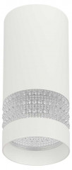 Настенно-потолочный светильник ЭРА OL41 WH/WH Б0058486