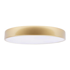 Потолочный светодиодный светильник Loft IT Flims 10228/A