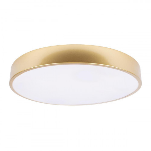 Потолочный светодиодный светильник Loft IT Flims 10228/A