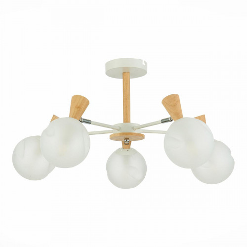 Потолочная люстра Evoluce Catania SLE220702-05